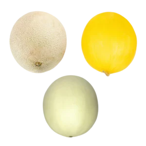 Melon Seasonal (1pc)