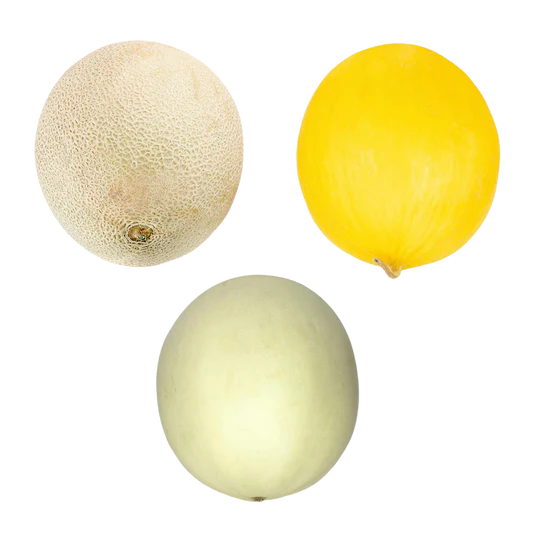 Melon Seasonal (1pc)