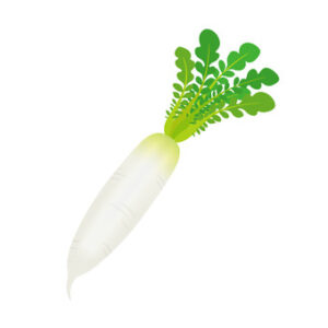 Radish (500g)