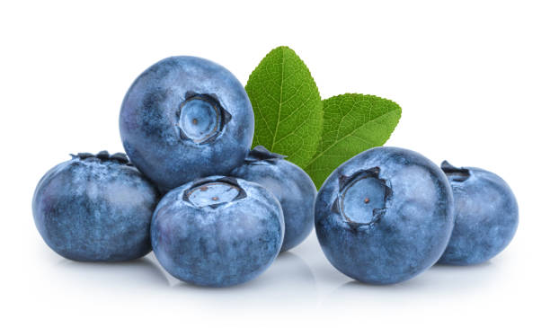 Blueberry (Box)